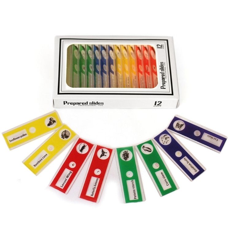 Prepared Slides 12 Pcs