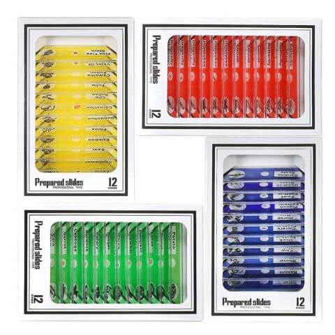 Prepared Slides Mega Pack