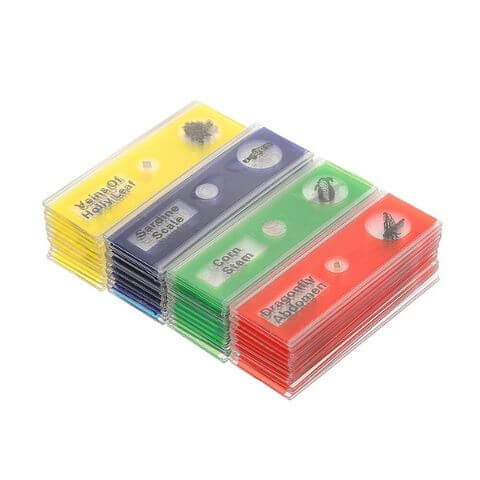 Prepared Slides Mega Pack
