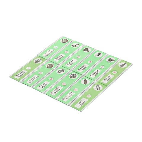Prepared Slides Mega Pack