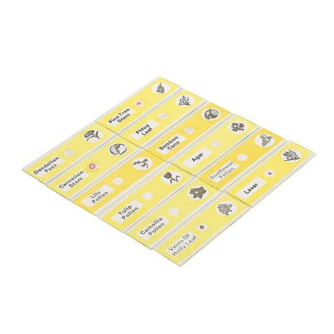 Prepared Slides Mega Pack