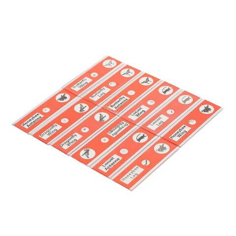 Prepared Slides Mega Pack